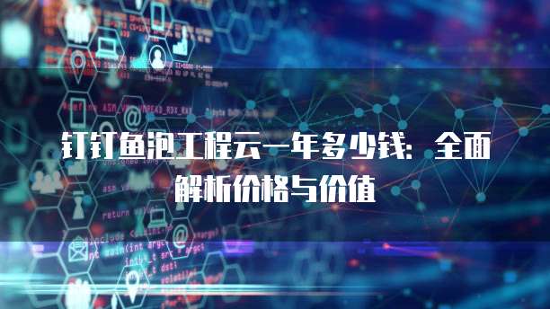 钉钉鱼泡工程云一年多少钱:全面解析价格与价值