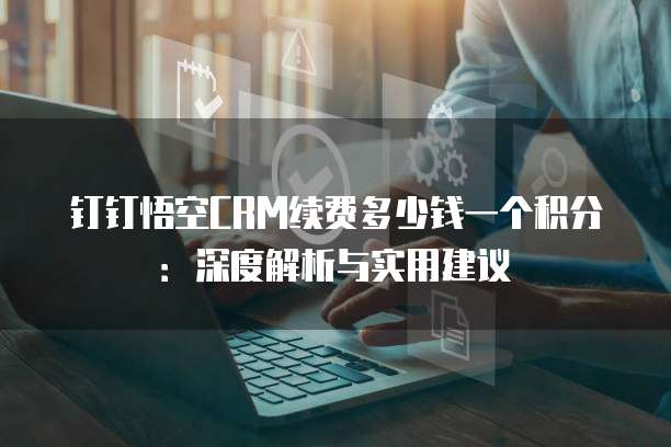 钉钉悟空CRM续费多少钱一个积分:深度解析与实用建议
