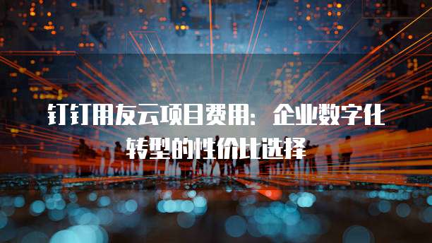 钉钉用友云项目费用:企业数字化转型的性价比选择