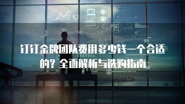 钉钉金牌团队费用多少钱一个合适的?全面解析与选购指南