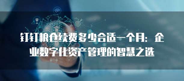 钉钉粮仓续费多少合适一个月:企业数字化资产管理的智慧之选