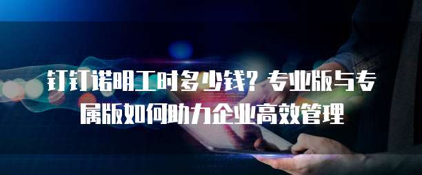 钉钉诺明工时多少钱?专业版与专属版如何助力企业高效管理