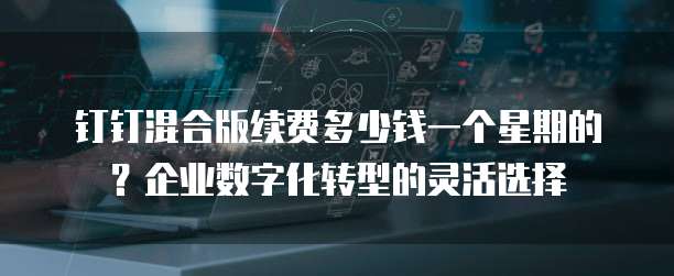 钉钉混合版续费多少钱一个星期的?企业数字化转型的灵活选择