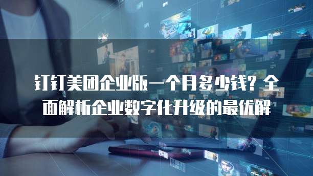 钉钉美团企业版一个月多少钱?全面解析企业数字化升级的最优解