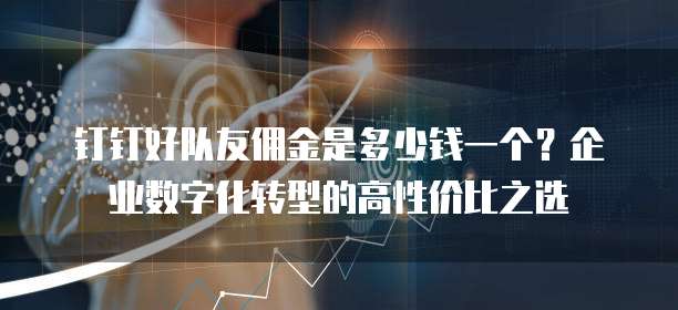 钉钉好队友佣金是多少钱一个?企业数字化转型的高性价比之选
