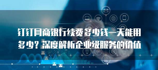 钉钉网商银行续费多少钱一天能用多少？深度解析企业级服务的价值