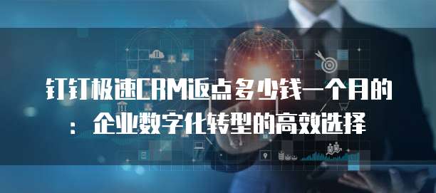 钉钉极速CRM返点多少钱一个月的:企业数字化转型的高效选择