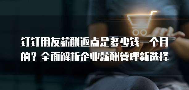 钉钉用友薪酬返点是多少钱一个月的？全面解析企业薪酬管理新选择