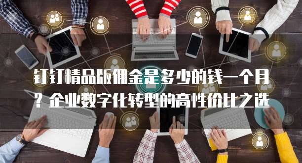 钉钉精品版佣金是多少的钱一个月?企业数字化转型的高性价比之选