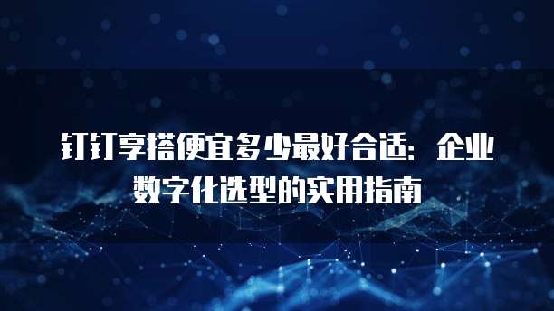 钉钉享搭便宜多少最好合适：企业数字化选型的实用指南