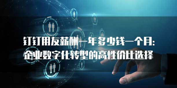 钉钉用友薪酬一年多少钱一个月:企业数字化转型的高性价比选择