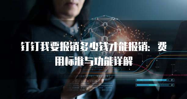 钉钉我要报销多少钱才能报销:费用标准与功能详解