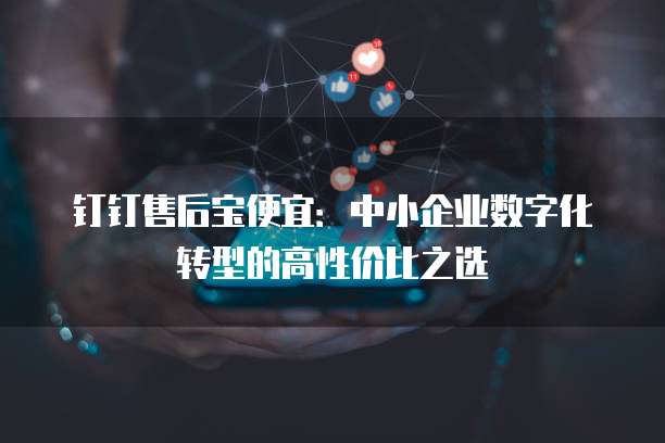 钉钉售后宝便宜:中小企业数字化转型的高性价比之选