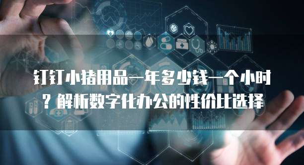 钉钉小猪用品一年多少钱一个小时?解析数字化办公的性价比选择