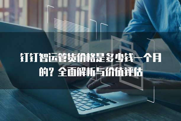 钉钉智运管货价格是多少钱一个月的?全面解析与价值评估
