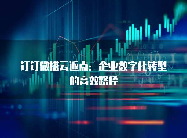 钉钉微搭云返点：企业数字化转型的高效路径