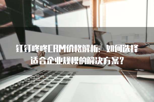 钉钉咚咚CRM价格解析:如何选择适合企业规模的解决方案?