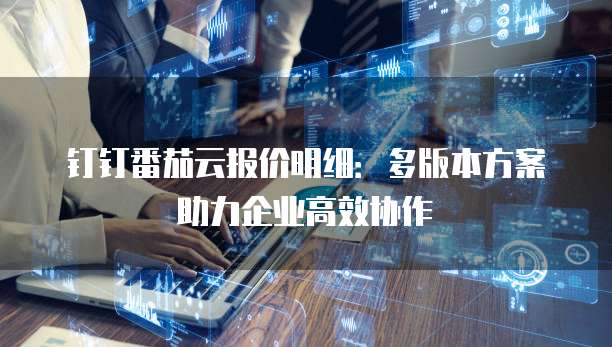 钉钉番茄云报价明细:多版本方案助力企业高效协作