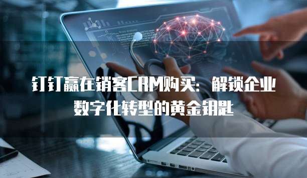 钉钉赢在销客CRM购买:解锁企业数字化转型的黄金钥匙