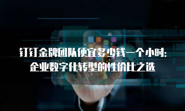 钉钉金牌团队便宜多少钱一个小时:企业数字化转型的性价比之选