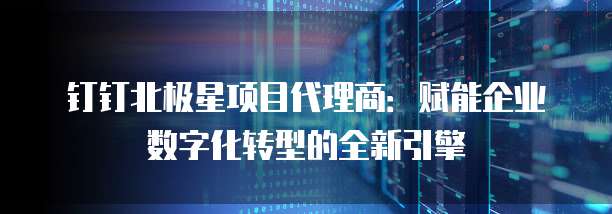 钉钉北极星项目代理商:赋能企业数字化转型的全新引擎