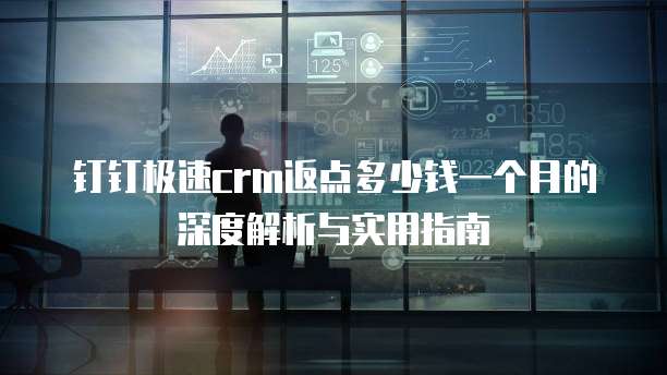 钉钉极速crm返点多少钱一个月的深度解析与实用指南