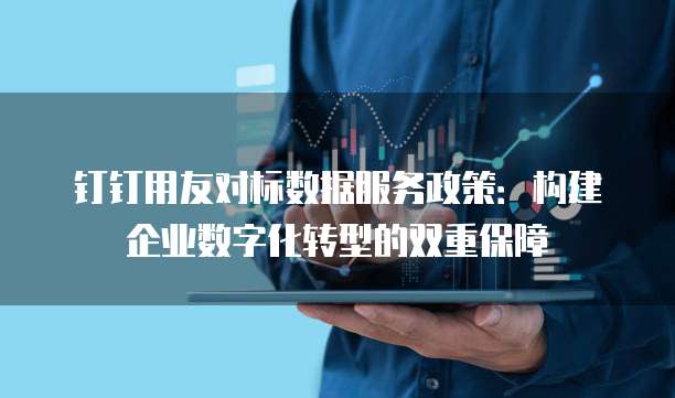 钉钉用友对标数据服务政策:构建企业数字化转型的双重保障