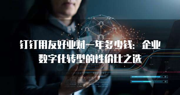 钉钉用友好业财一年多少钱:企业数字化转型的性价比之选