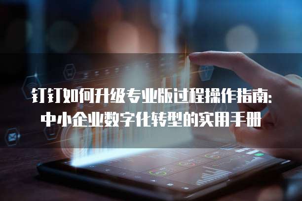 钉钉如何升级专业版过程操作指南:中小企业数字化转型的实用手册