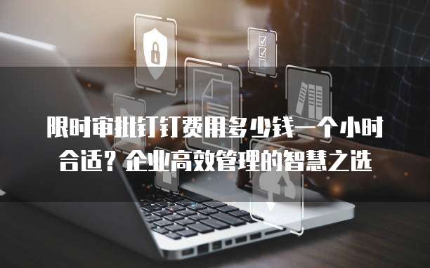 限时审批钉钉费用多少钱一个小时合适?企业高效管理的智慧之选
