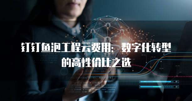 钉钉鱼泡工程云费用:数字化转型的高性价比之选