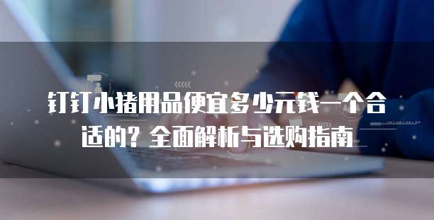 钉钉小猪用品便宜多少元钱一个合适的?全面解析与选购指南