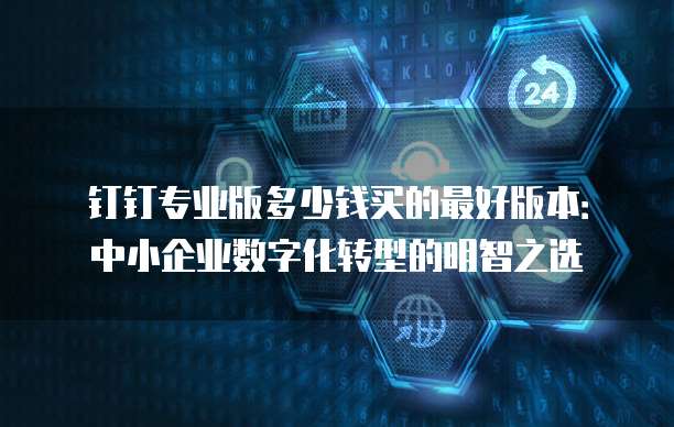 钉钉专业版多少钱买的最好版本:中小企业数字化转型的明智之选