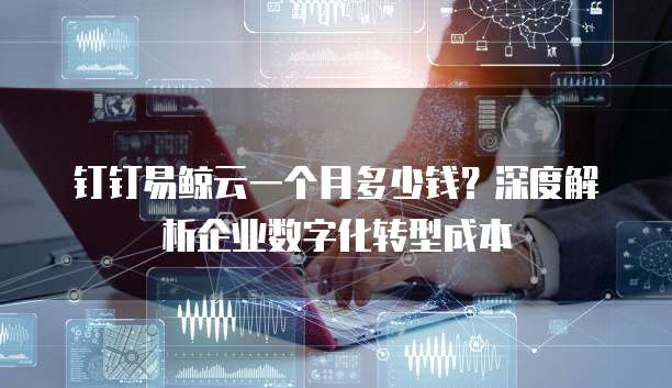 钉钉易鲸云一个月多少钱?深度解析企业数字化转型成本