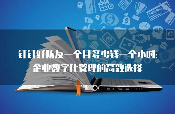 钉钉好队友一个月多少钱一个小时:企业数字化管理的高效选择
