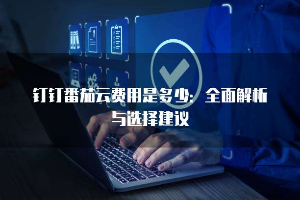 钉钉番茄云费用是多少:全面解析与选择建议