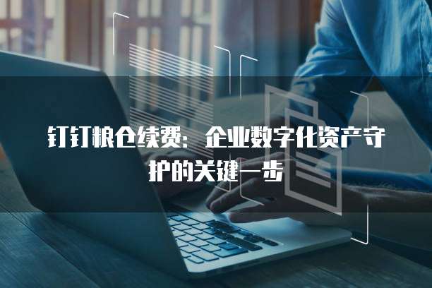 钉钉粮仓续费:企业数字化资产守护的关键一步