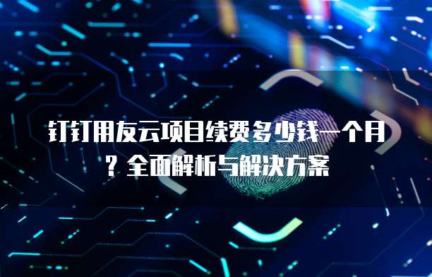 钉钉用友云项目续费多少钱一个月?全面解析与解决方案