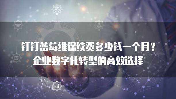 钉钉蓝莓维保续费多少钱一个月？企业数字化转型的高效选择