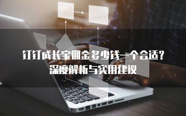 钉钉成长宝佣金多少钱一个合适？深度解析与实用建议