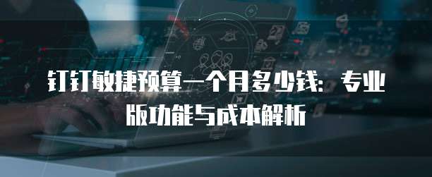 钉钉敏捷预算一个月多少钱:专业版功能与成本解析