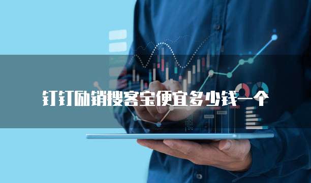 钉钉励销搜客宝便宜多少钱一个