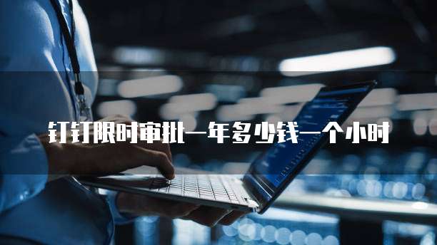 钉钉限时审批一年多少钱一个小时