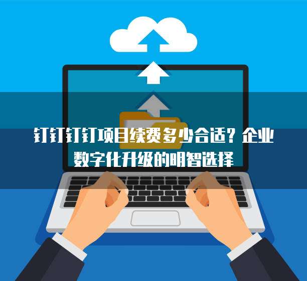 钉钉钉钉项目续费多少合适?企业数字化升级的明智选择