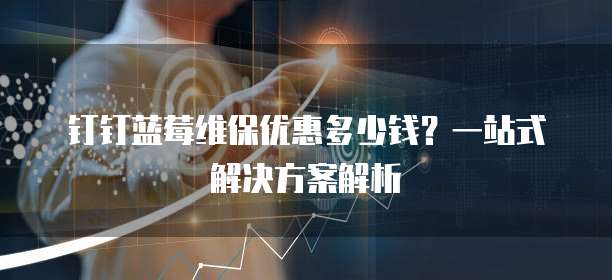 钉钉蓝莓维保优惠多少钱?一站式解决方案解析