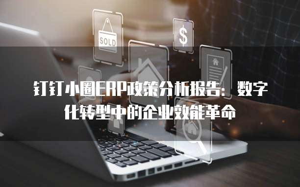 钉钉小圈ERP政策分析报告：数字化转型中的企业效能革命