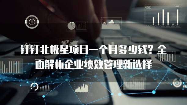钉钉北极星项目一个月多少钱?全面解析企业绩效管理新选择