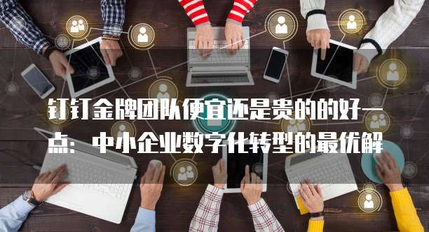 钉钉金牌团队便宜还是贵的的好一点:中小企业数字化转型的最优解