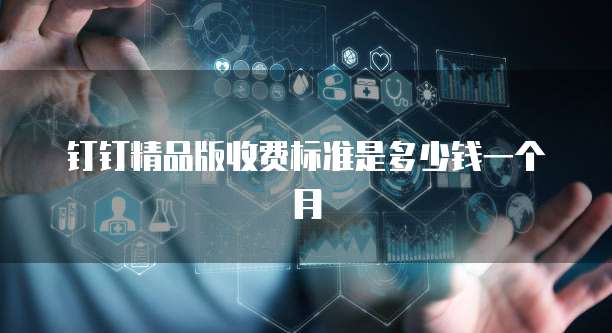 钉钉精品版收费标准是多少钱一个月