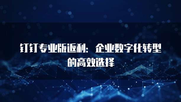 钉钉专业版返利:企业数字化转型的高效选择